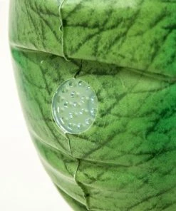 Bestway Water Sprinkler Dinosaur -actiespellen Verkoop 550x366 30