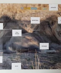 Merkloos 100 Vragen/puzzelspel