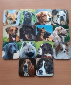 Nevospel Kleintje Twee=Oke Honden