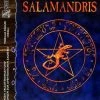 Fantasy Productions Das Schwarze Auge Compendium Salamandris